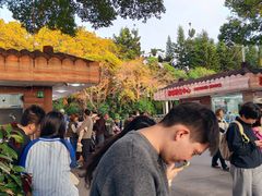 -深圳野生动物园