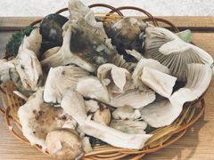 -易门野生菌府·菌海森林(月牙潭公园店)