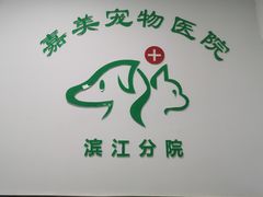 -美美宠物诊疗中心·异宠·骨科(滨江东信分院)