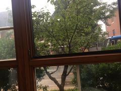 -天正河鲀·河豚亭(大连店)