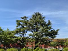 -北京市劳动人民文化宫(太庙)