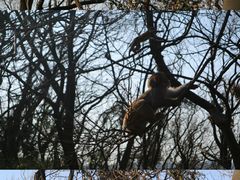 -苏州上方山国家森林公园