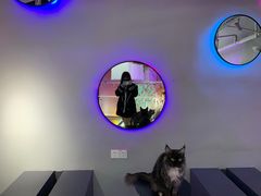 -极木²邸 人与宠物·互动社区