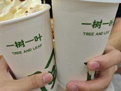 -一树一叶·福建茶档(石鼓路店)