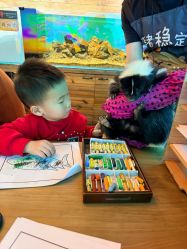 -Zoolung Zoolung动物主题公园(海信广场店)