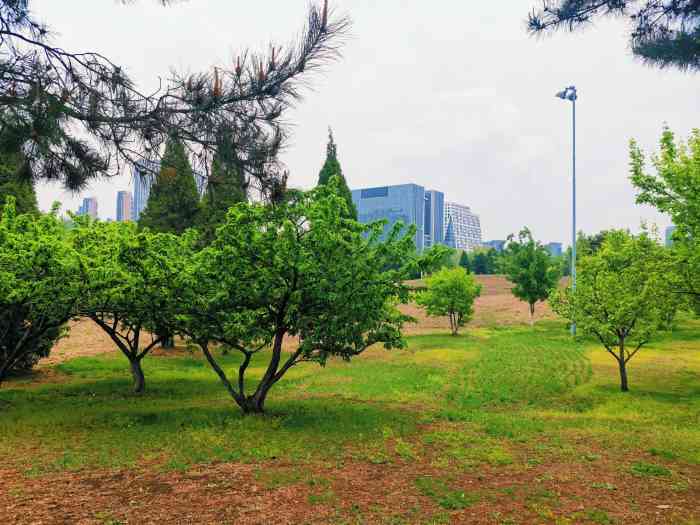 浑南市民公园-"浑南市民公园.在浑河桥南右手边上.交.