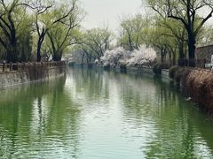 -颐和园