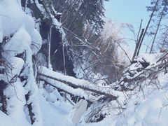 -峡谷浮石林景区