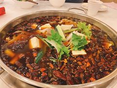 -川道拐耗儿鱼(旗舰店)