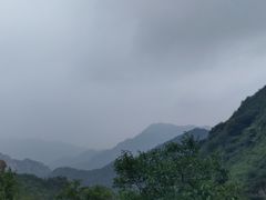 -大岭沟猕猴桃谷风景区