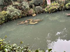 -杭州黄龙洞