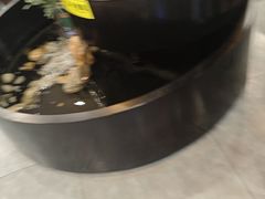 -九寨沟石锅鱼(沣峪口二十年店)