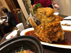 糖醋鲤鱼-城南往事·味道济南菜(金龙大厦店)