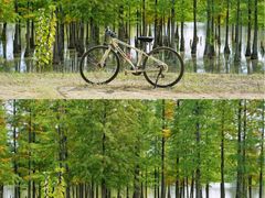 -白鹭湾湿地公园