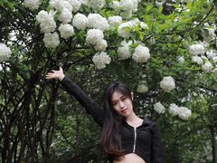 -南京航空航天大学(明故宫校区)