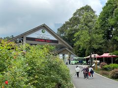 -中国大熊猫保护研究中心雅安碧峰峡基地