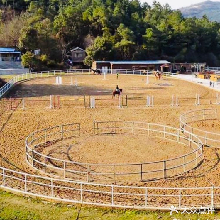 可是今天告诉大家，娃娃也可以培养马术的呢！