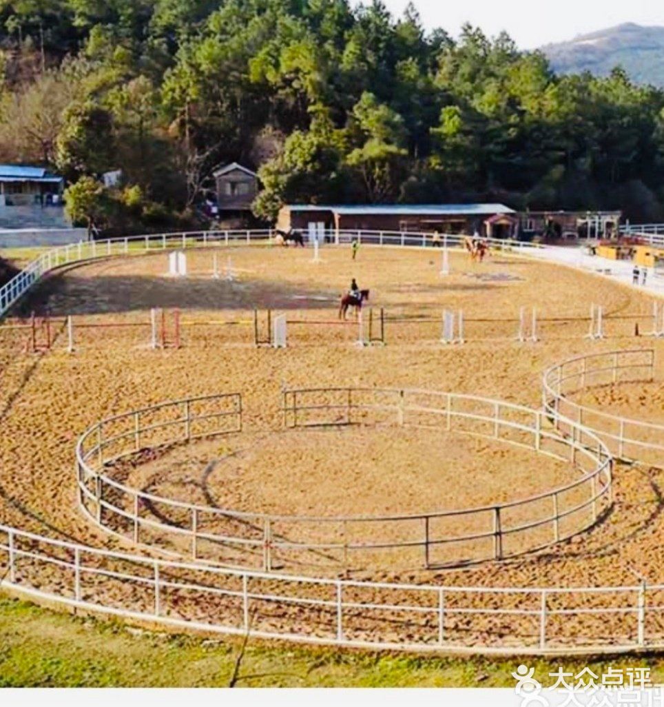 可是今天告诉大家，娃娃也可以培养马术的呢！