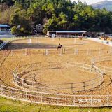 可是今天告诉大家，娃娃也可以培养马术的呢！