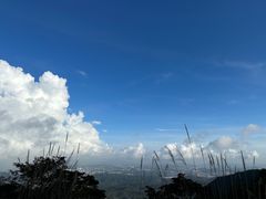 -梧桐山风景名胜区