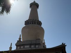 -张掖大佛寺景区