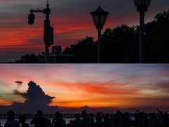 -宝安西湾红树林湿地公园