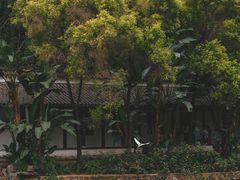 -深圳国际园林花卉博览园