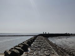 -南汇嘴观海公园