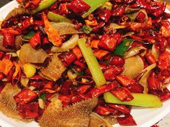 -福苗小骆驼烧烤(大唐不夜城店)