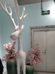 -小美汇美甲美睫美护