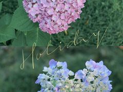 -古宇湖风景名胜区