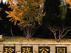 -玲珑塔公园