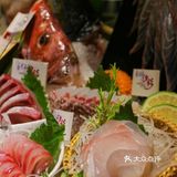 真正出海海钓的刺身大船