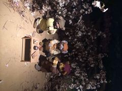 iphone_upload_pic-成都泰迪熊博物馆