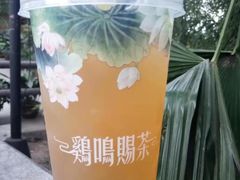 -鸡鸣赐茶(鸡鸣寺路店)