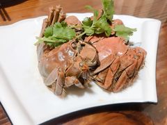 -呼吸森林·生态农庄农家乐私房菜