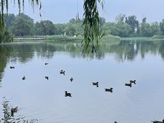 -桔子酒店(北京中关村软件园店)