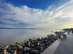 -深圳湾公园(南山区)
