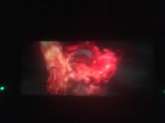 -保定金棕榈先天下国际影城(LUXE)