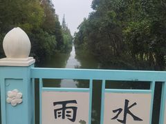 -上海长兴岛郊野公园