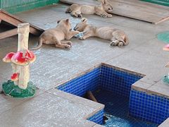-秦皇岛野生动物园