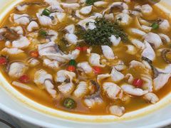 -青花椒花椒鱼(合生汇店)