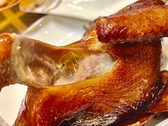 -石岐乳鸽村(南海第三分店)