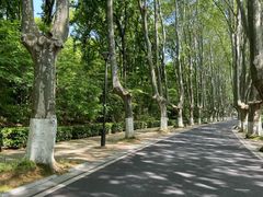 -WeLope紫金山探险公园