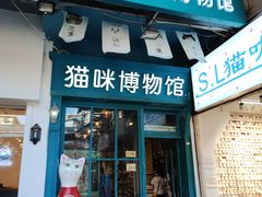 -猫咪博物馆(顶澳仔猫街店)