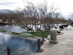 -黑龙潭公园