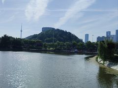 -月湖风景区