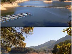 -广州市流溪河国家森林公园