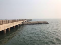 -东疆建设开发纪念公园