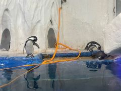 -太平洋海底世界